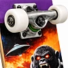 Скейтборд TEAM FURY POM POM SkateSpirit Скейтборд TEAM FURY POM POM SkateSpirit